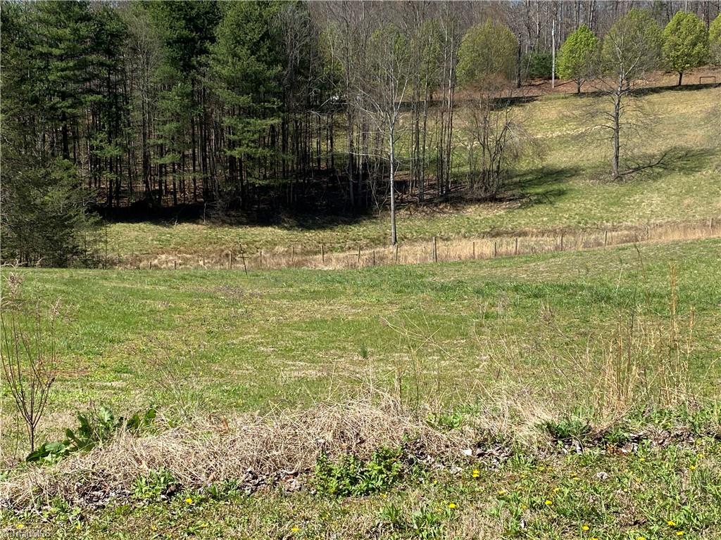 314 Wayne Marshall Road Elkin, NC 28621 - Photo 46 of 49 Gallery Image 46