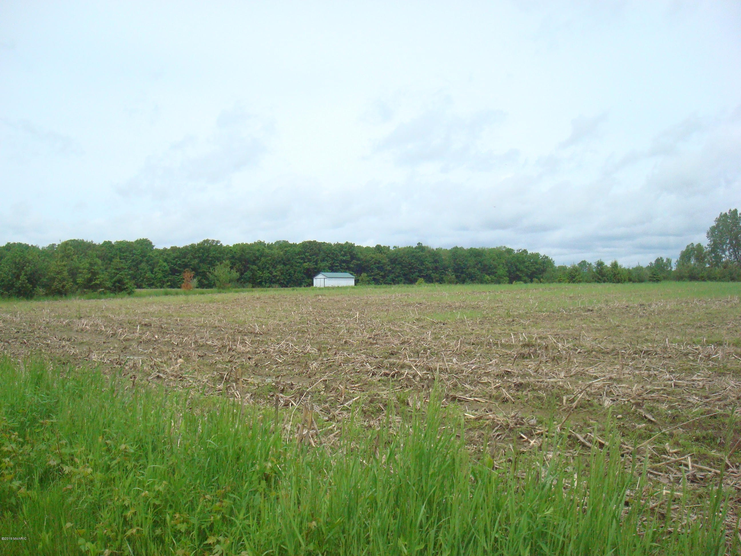 4800 Buckeye Road Camden, MI 49232 - Photo 4 of 7 9115 (4)