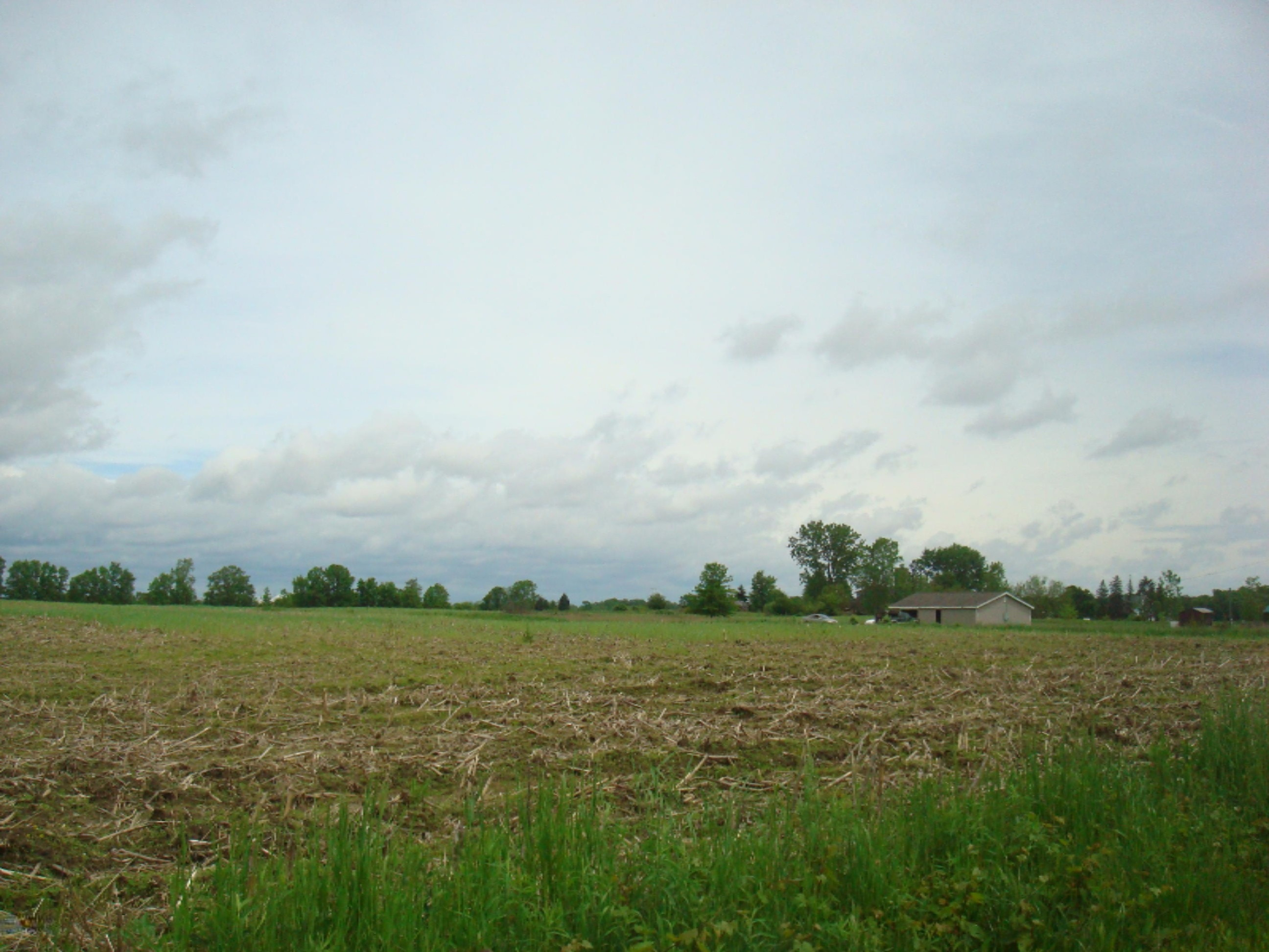 4800 Buckeye Road Camden, MI 49232 - Photo 6 of 7 9115 (6)