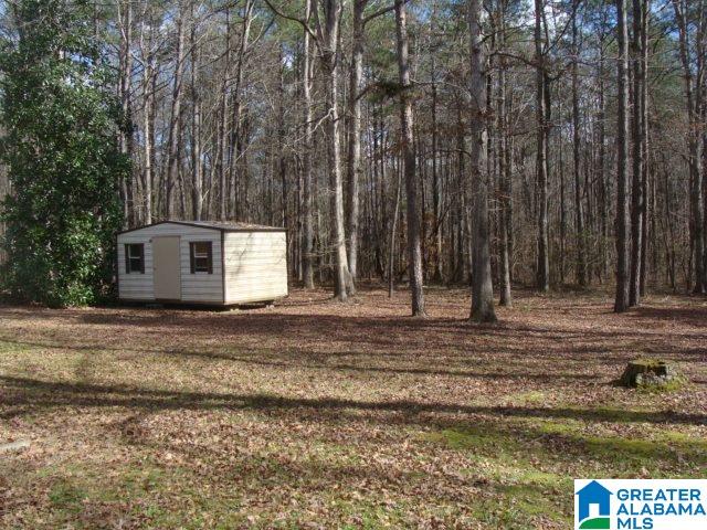 27 Old Stagecoach Road Woodstock, AL 35188 - Photo 17 of 18