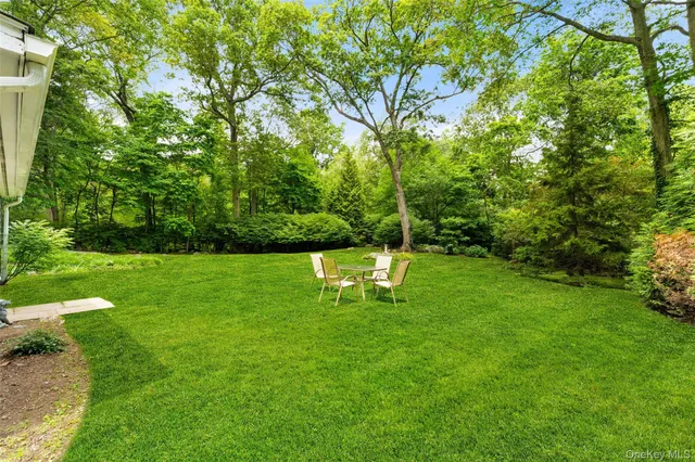 a view of garden with trees