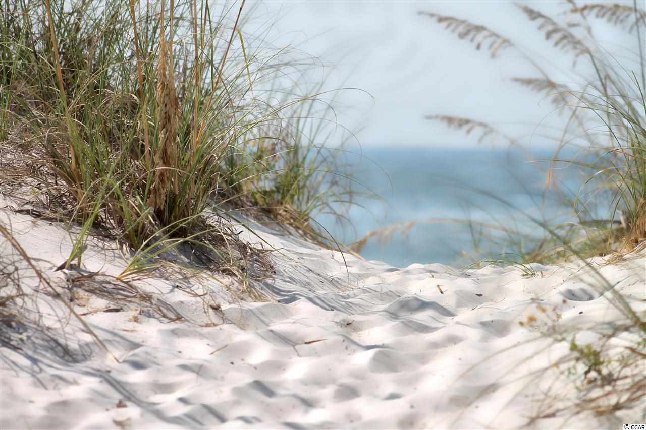 14 Reef Run Road Pawleys Island, SC 29585 - Photo 22 of 24 Gallery Image 22