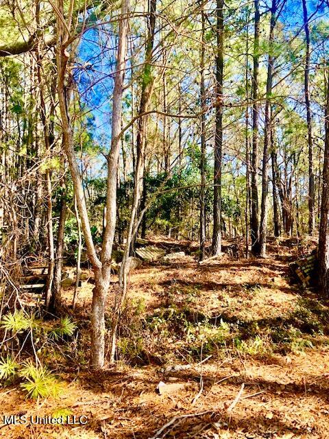 6209 Riviera Drive Biloxi, MS 39532 - Photo 2 of 9 Nice wooded lot