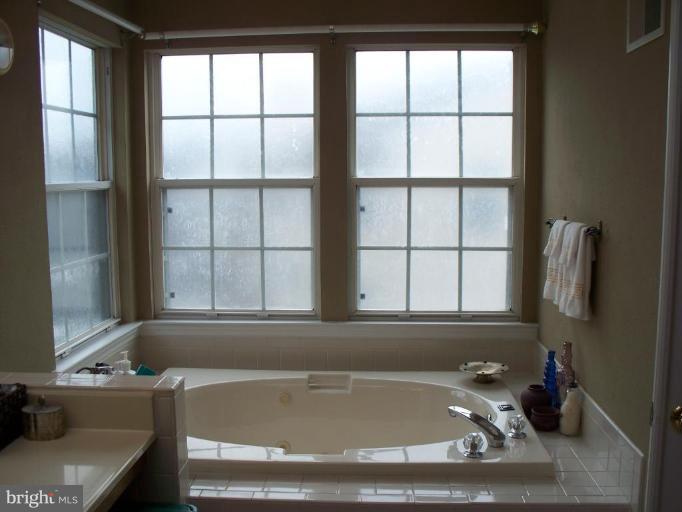 602 Monarch Ridge Road Frederick, MD 21703 - Photo 12 of 29 Relaxing Soaking Tub
