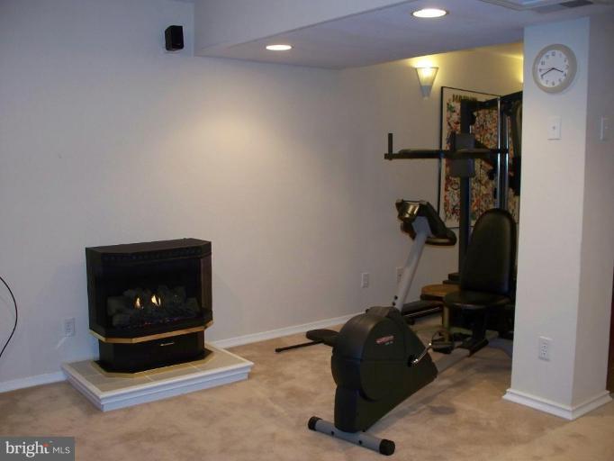 602 Monarch Ridge Road Frederick, MD 21703 - Photo 22 of 29 Cozy Gas Logs
