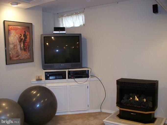 602 Monarch Ridge Road Frederick, MD 21703 - Photo 27 of 29 Lower Level Suite