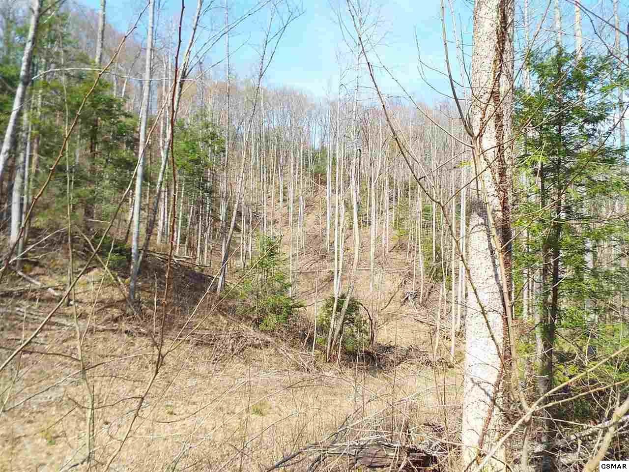 7903 Ground Hog Road Cosby, TN 37722 - Photo 13 of 35 Gallery Image 13