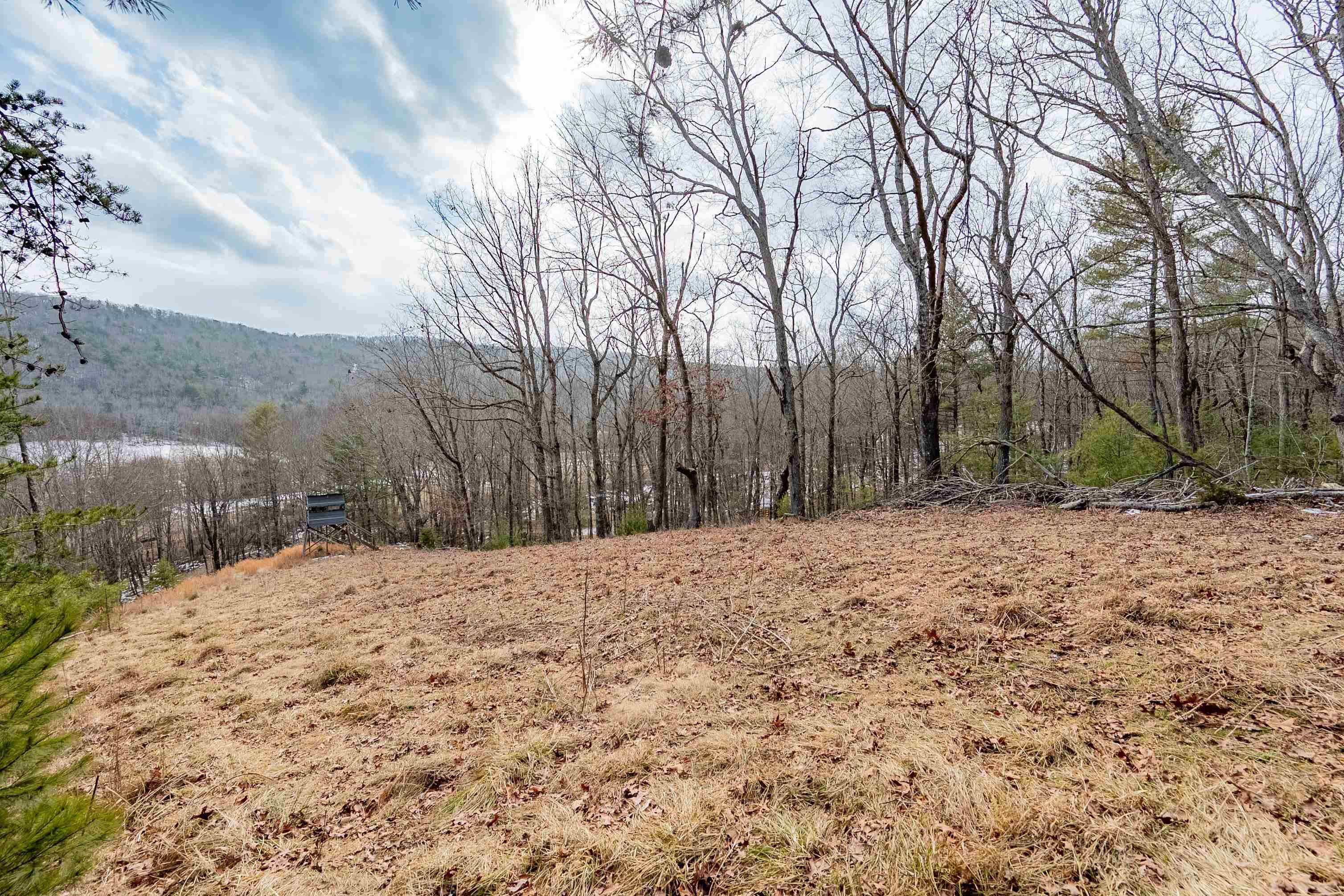 Tbd Spur Branch Road Dublin, VA 24084 - Photo 38 of 84 Gallery Image 38