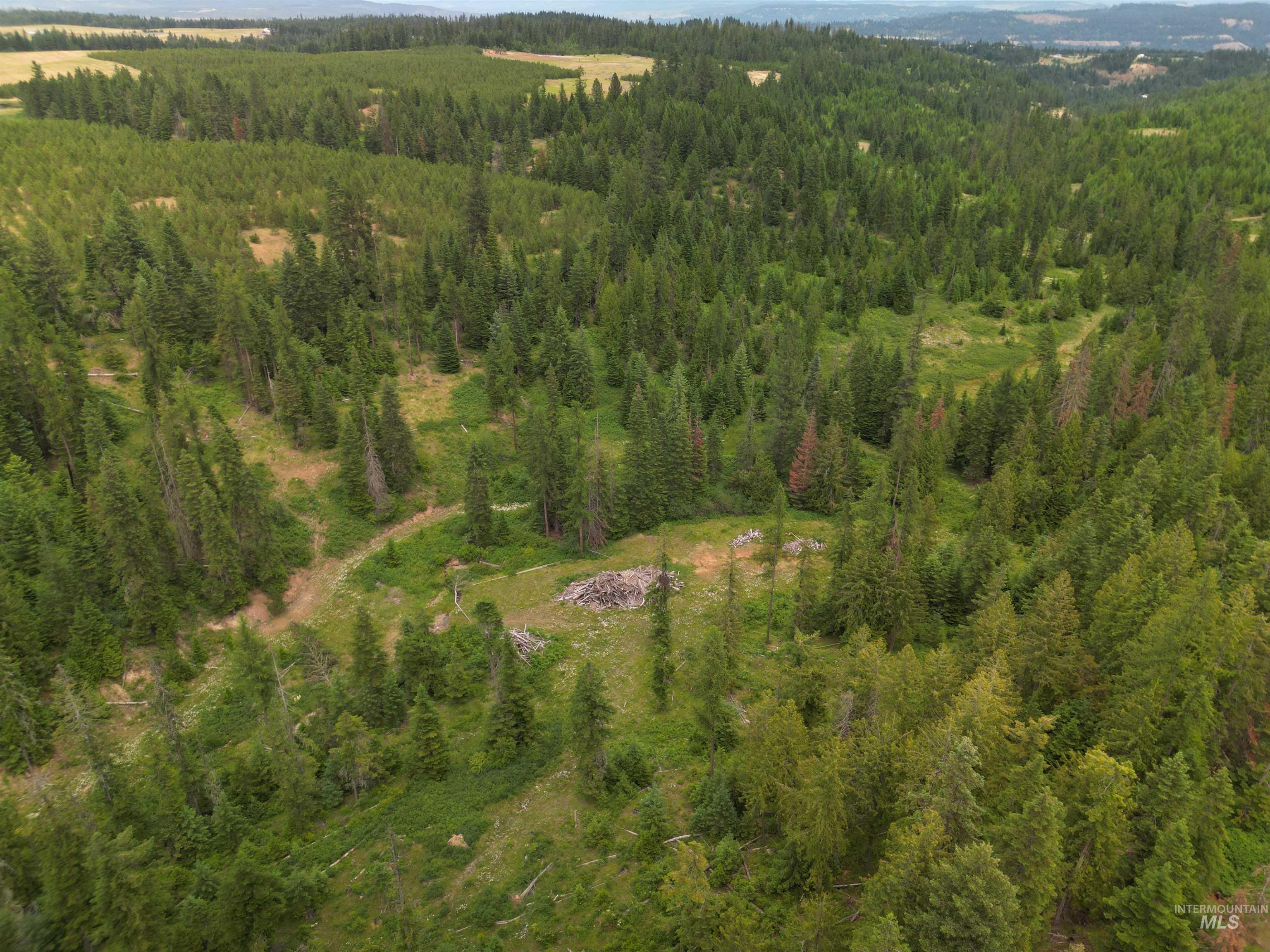 0 Middle Road Lenore, ID 83541 - Photo 20 of 48