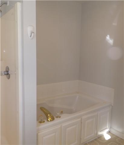 124 Foxrun Springfield, TN 37172 - Photo 13 of 20 Jetted tub and separate shower in main bathroom.