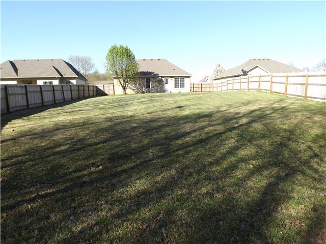 124 Foxrun Springfield, TN 37172 - Photo 4 of 20 Back of home with patio.