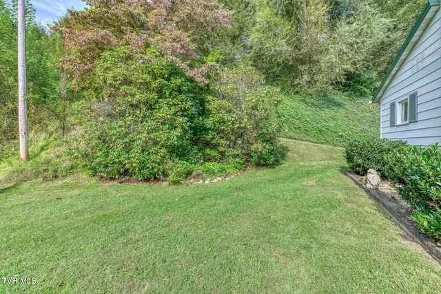 $364,000 | 6646 Roan Creek Road, Butler, TN 37640