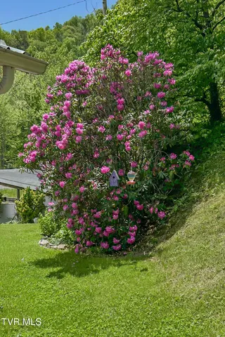 $364,000 | 6646 Roan Creek Road, Butler, TN 37640