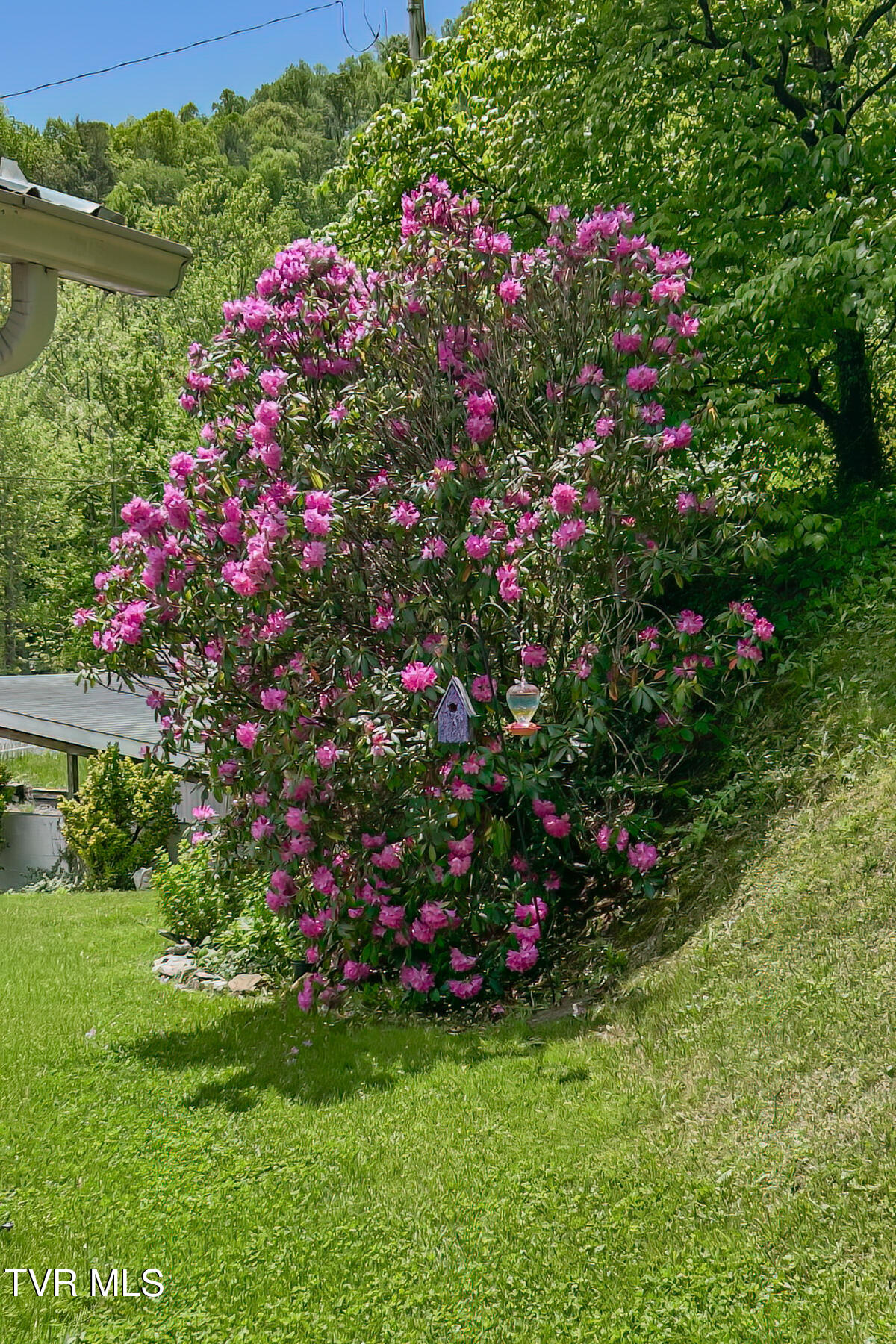 6646 Roan Creek Road Butler, TN 37640 - Photo 17 of 56 6646 Roan Creek Road-55