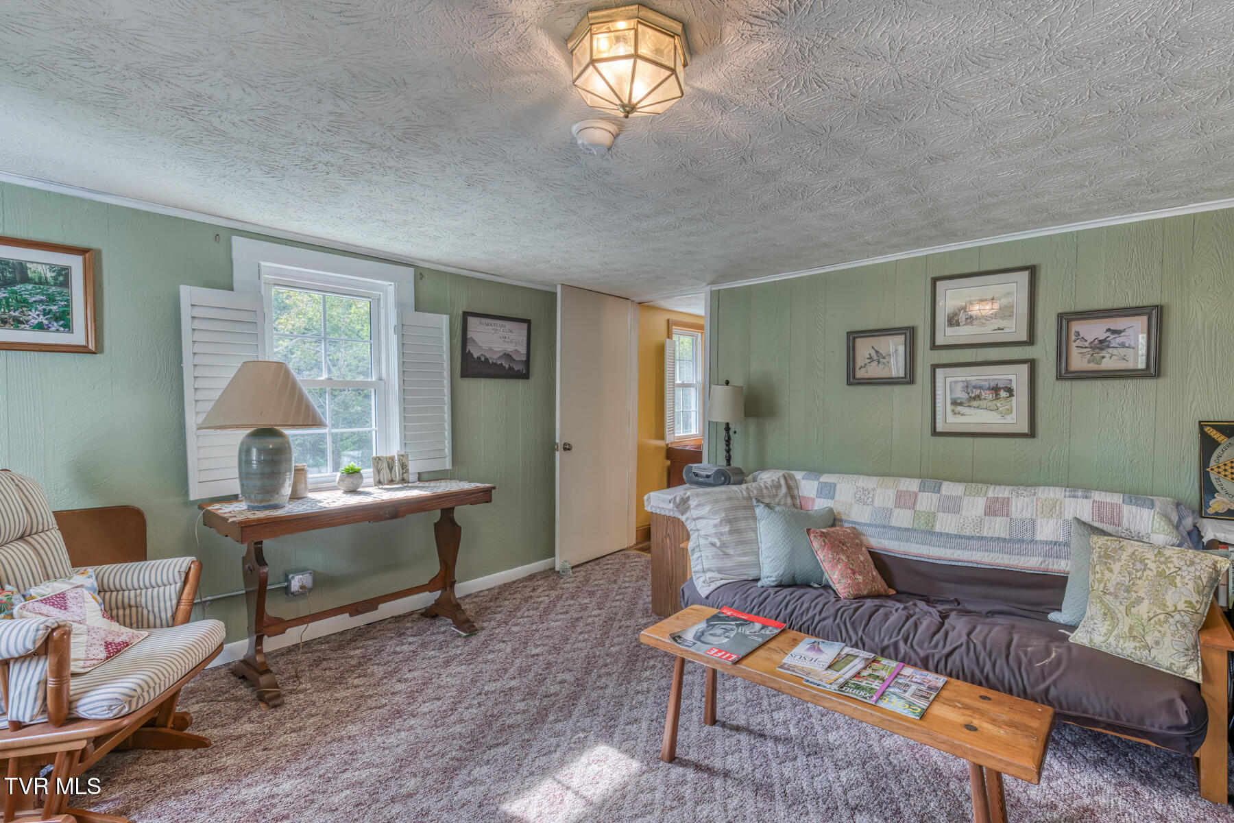 6646 Roan Creek Road Butler, TN 37640 - Photo 42 of 56 6646 Roan Creek Road-26