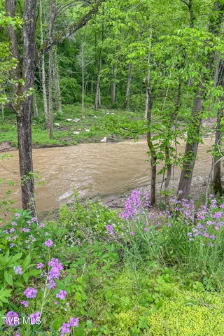 $364,000 | 6646 Roan Creek Road, Butler, TN 37640