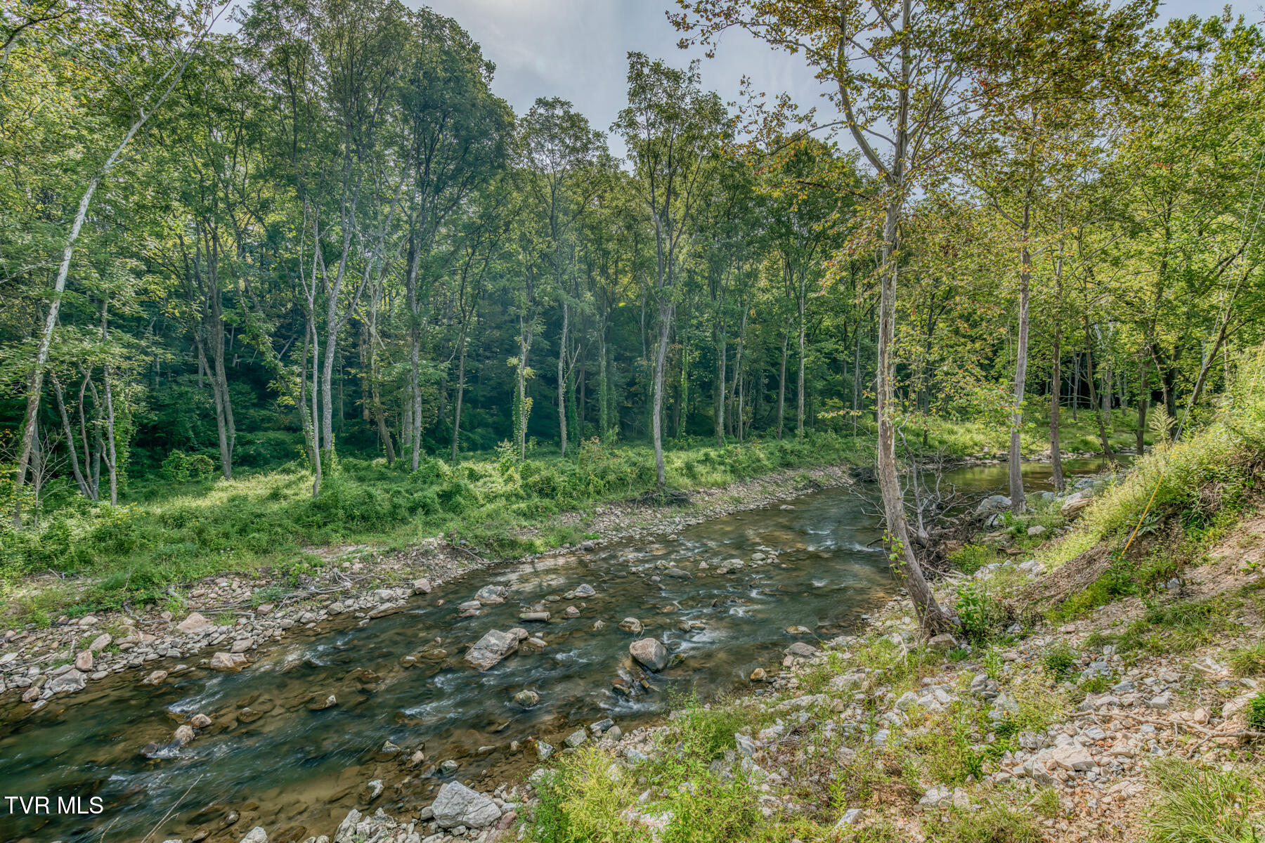 6646 Roan Creek Road Butler, TN 37640 - Photo 5 of 56 6646 Roan Creek Road-47