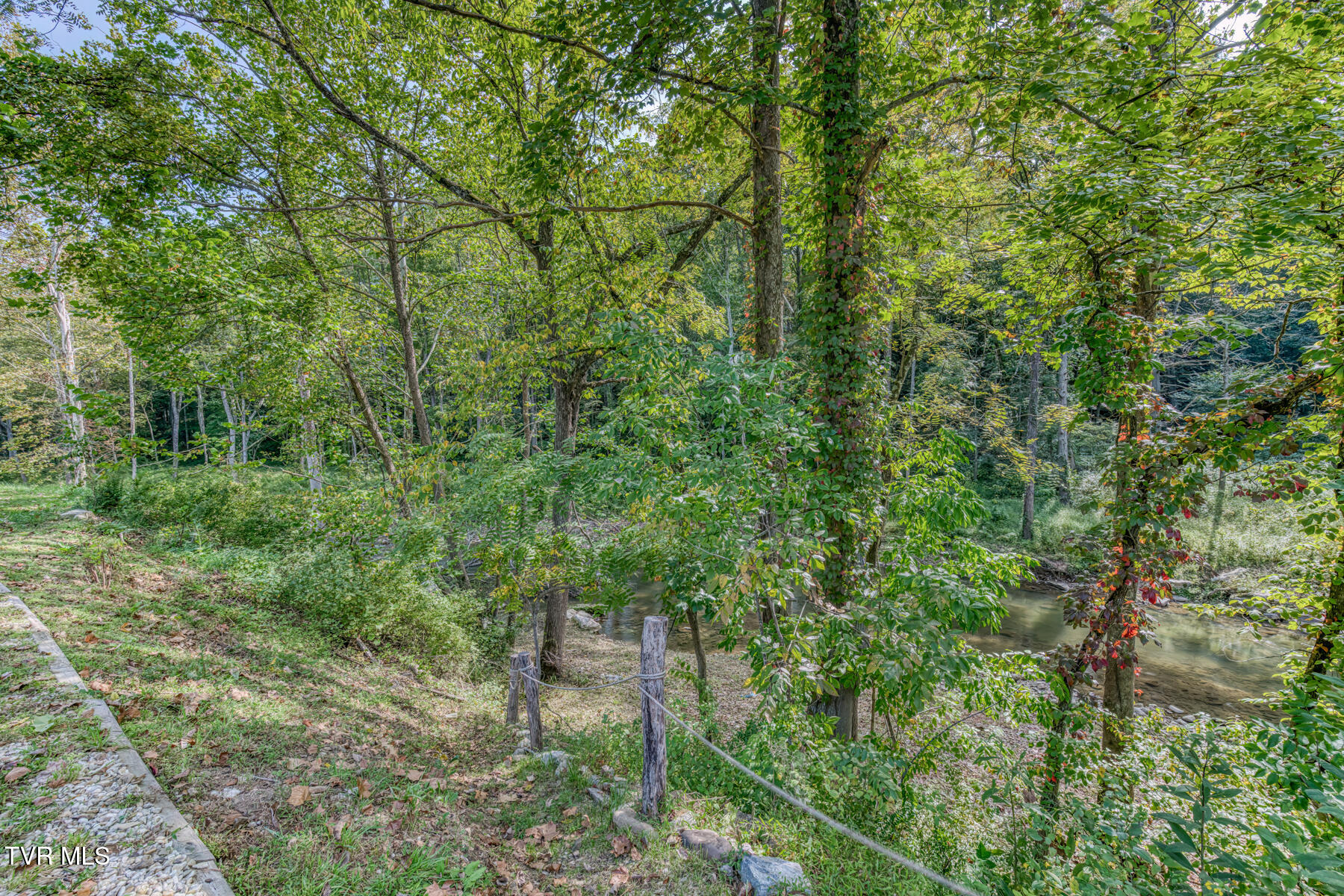 6646 Roan Creek Road Butler, TN 37640 - Photo 52 of 56 6646 Roan Creek Road-48