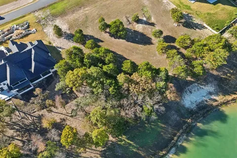 a picture of flowers