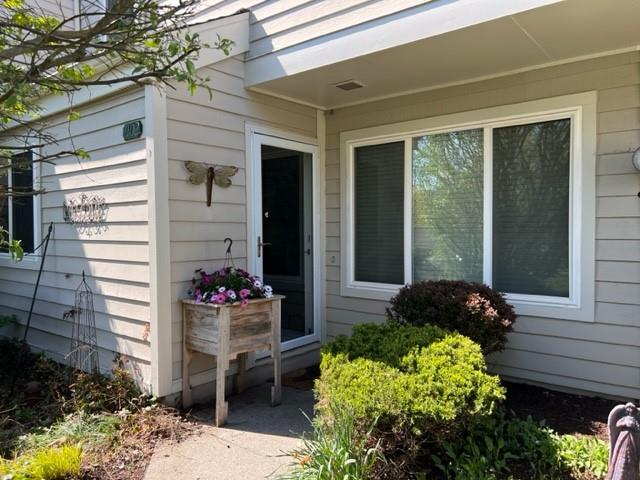 a potted plant sitting in front of a house