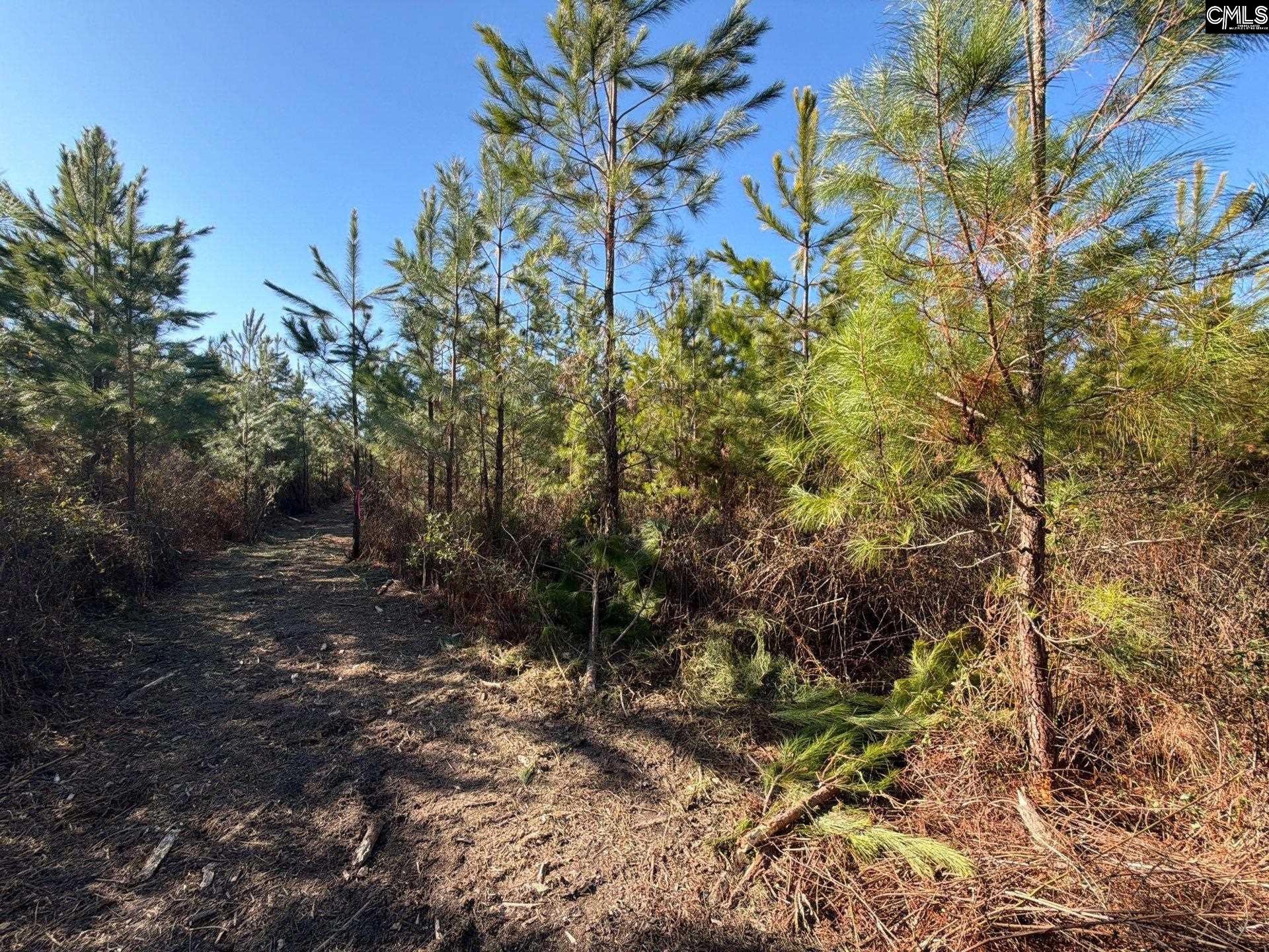 6 Brunson Teal Road, Unit BFF II 6 Patrick, SC 29584 - Photo 13 of 19