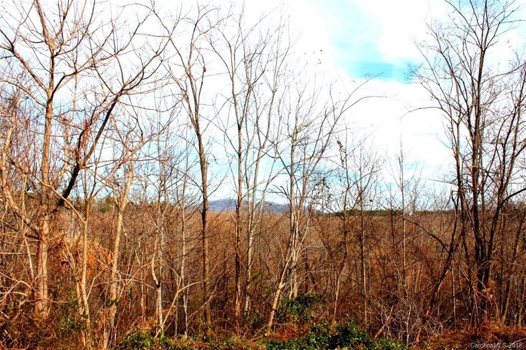 263 Coyote Pass Rutherfordton, NC 28139 - Photo 17 of 17