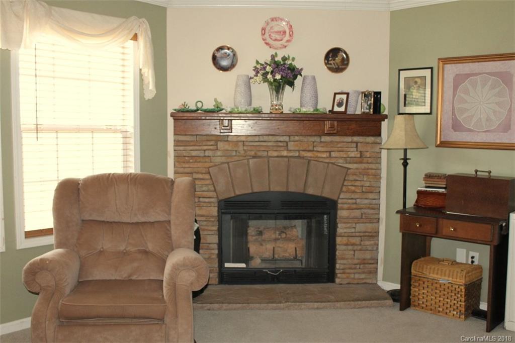 263 Coyote Pass Rutherfordton, NC 28139 - Photo 3 of 17