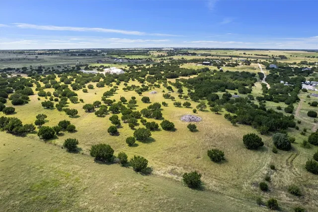 a view of a lot of trees and houses