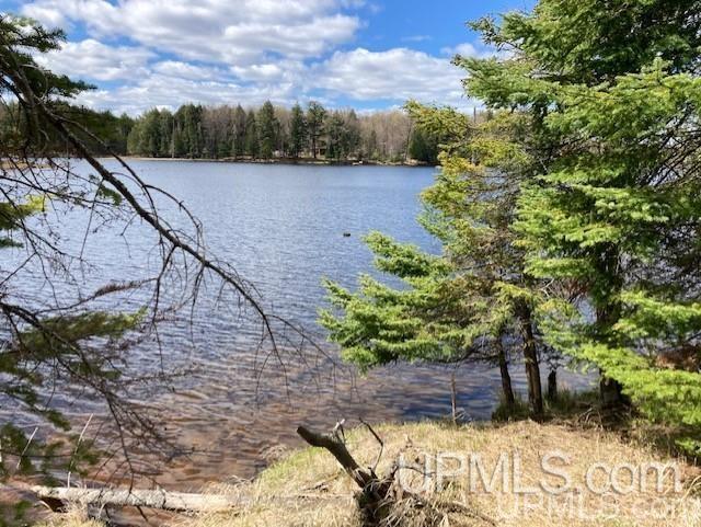 Tbd Channel Road Watersmeet, MI 49969 - Photo 2 of 33 Gallery Image 2