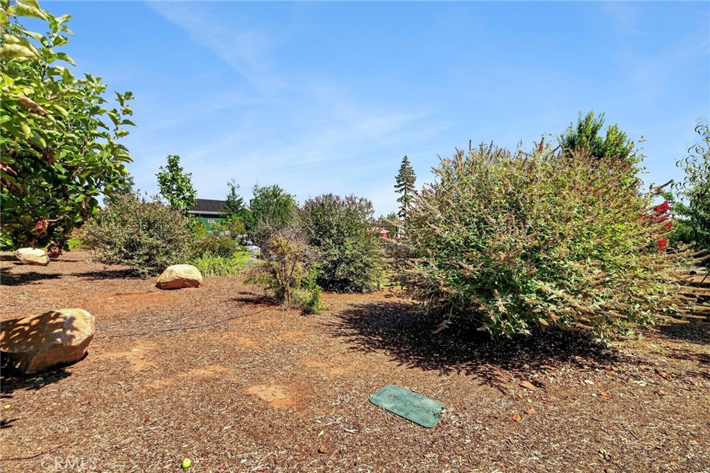 6226 Graham Road Paradise, CA 95969 - Photo 64 of 69