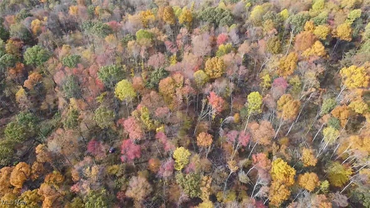 4277 Twin Sisters Road Cambridge, OH 43725 - Photo 22 of 27 Aerial view of property