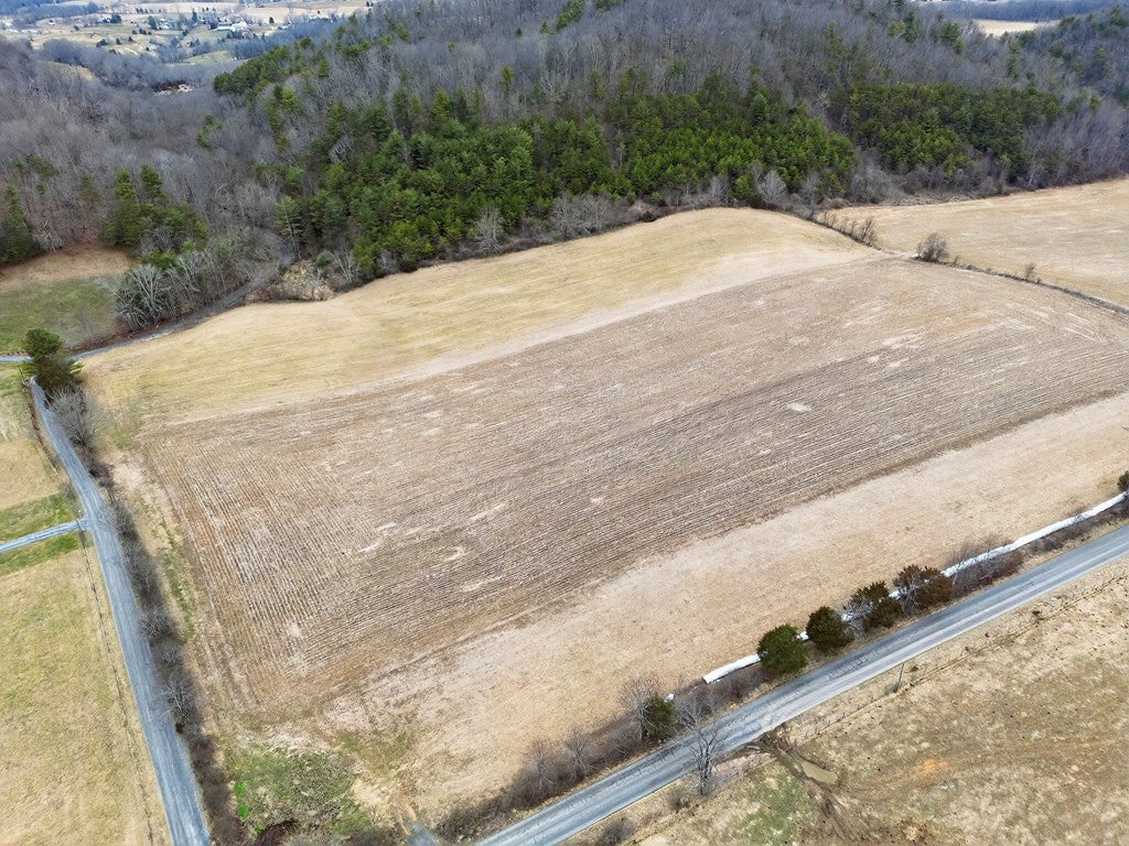 47.17-ac Widener Valley Road, Unit 1 Glade Spring, VA 24340 - Photo 4 of 9 Gallery Image 4