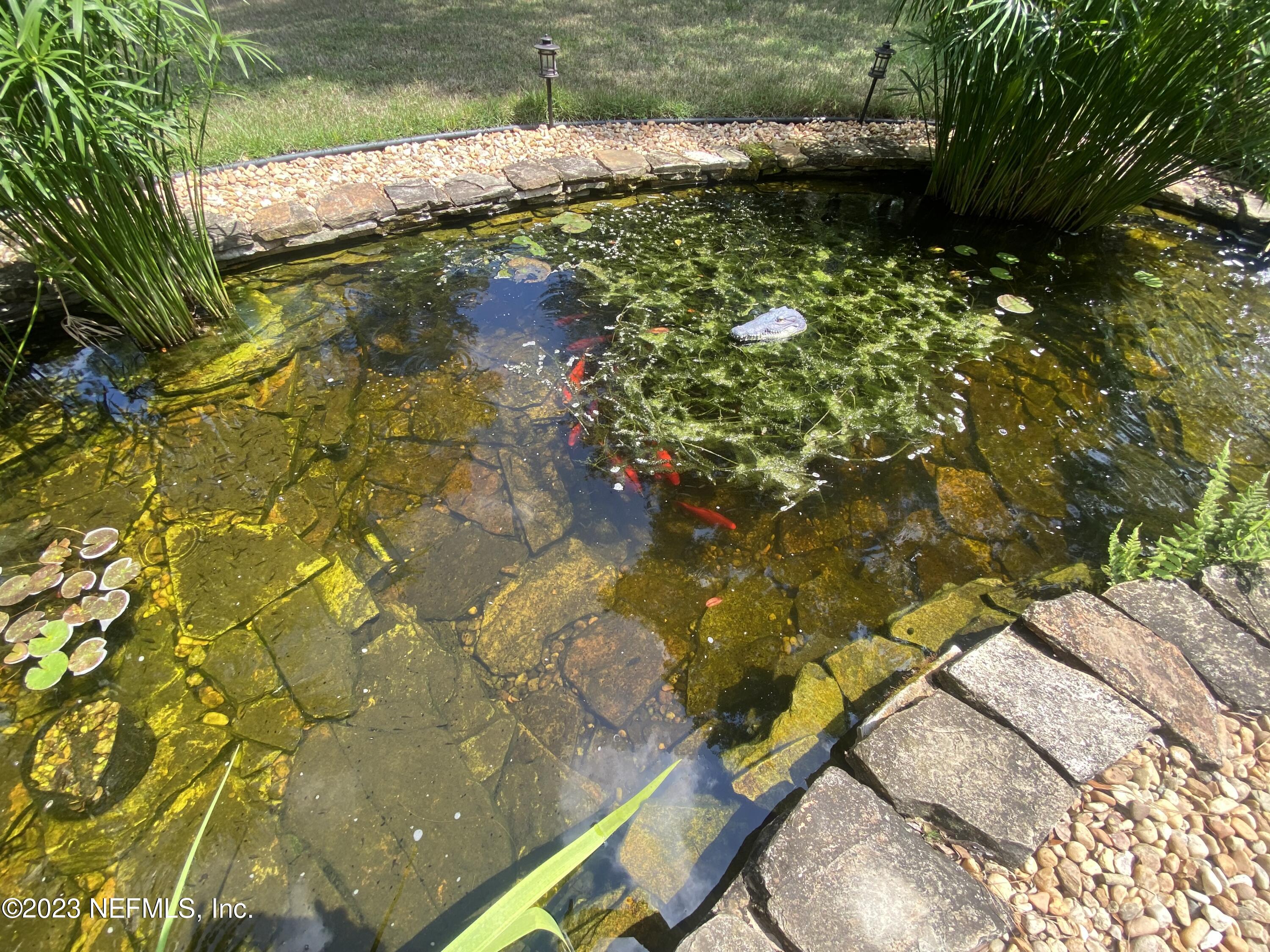 3600 Stratton Road Jacksonville, FL 32221 - Photo 27 of 37 goldfish pond