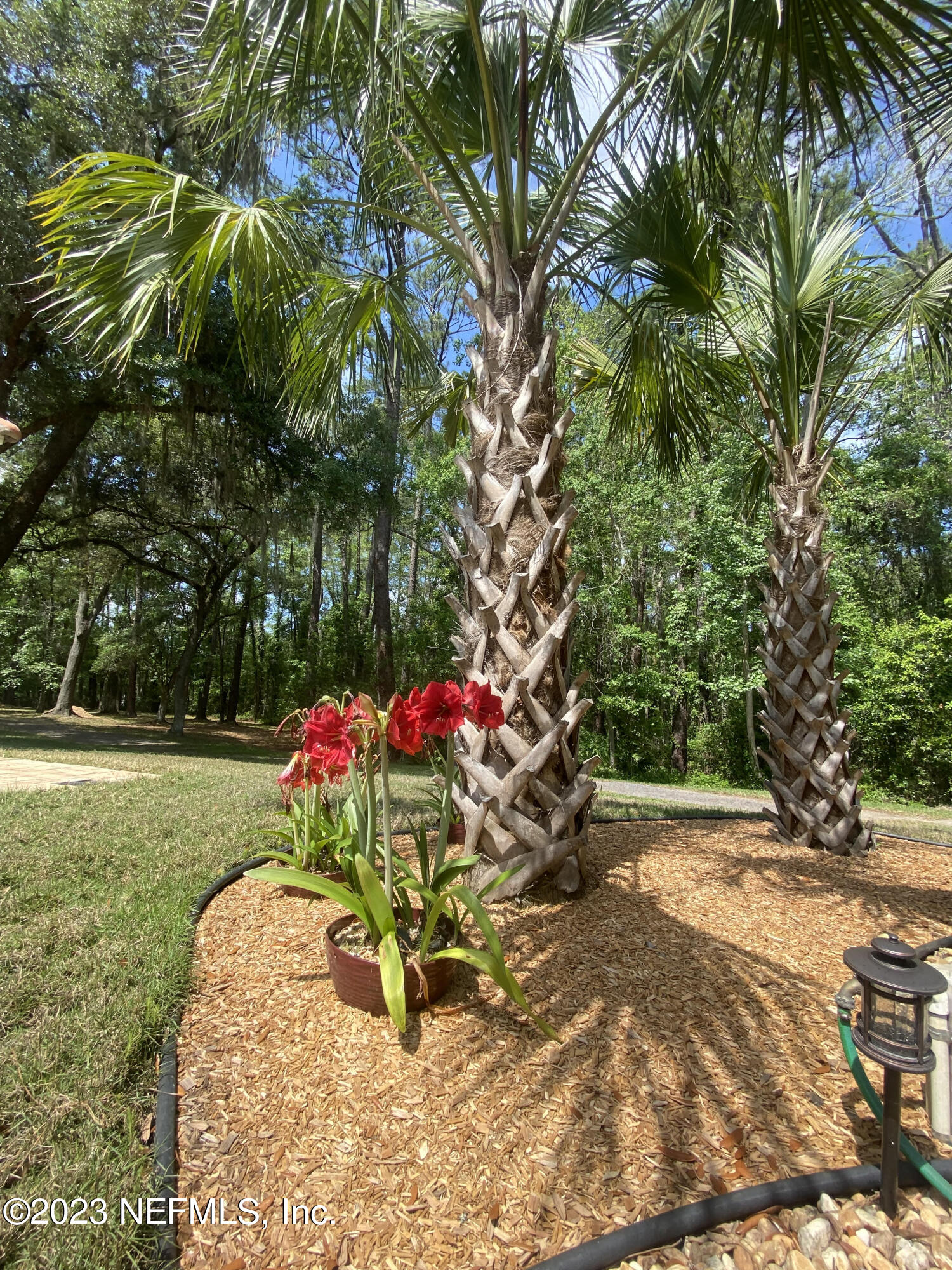 3600 Stratton Road Jacksonville, FL 32221 - Photo 29 of 37 landscaping