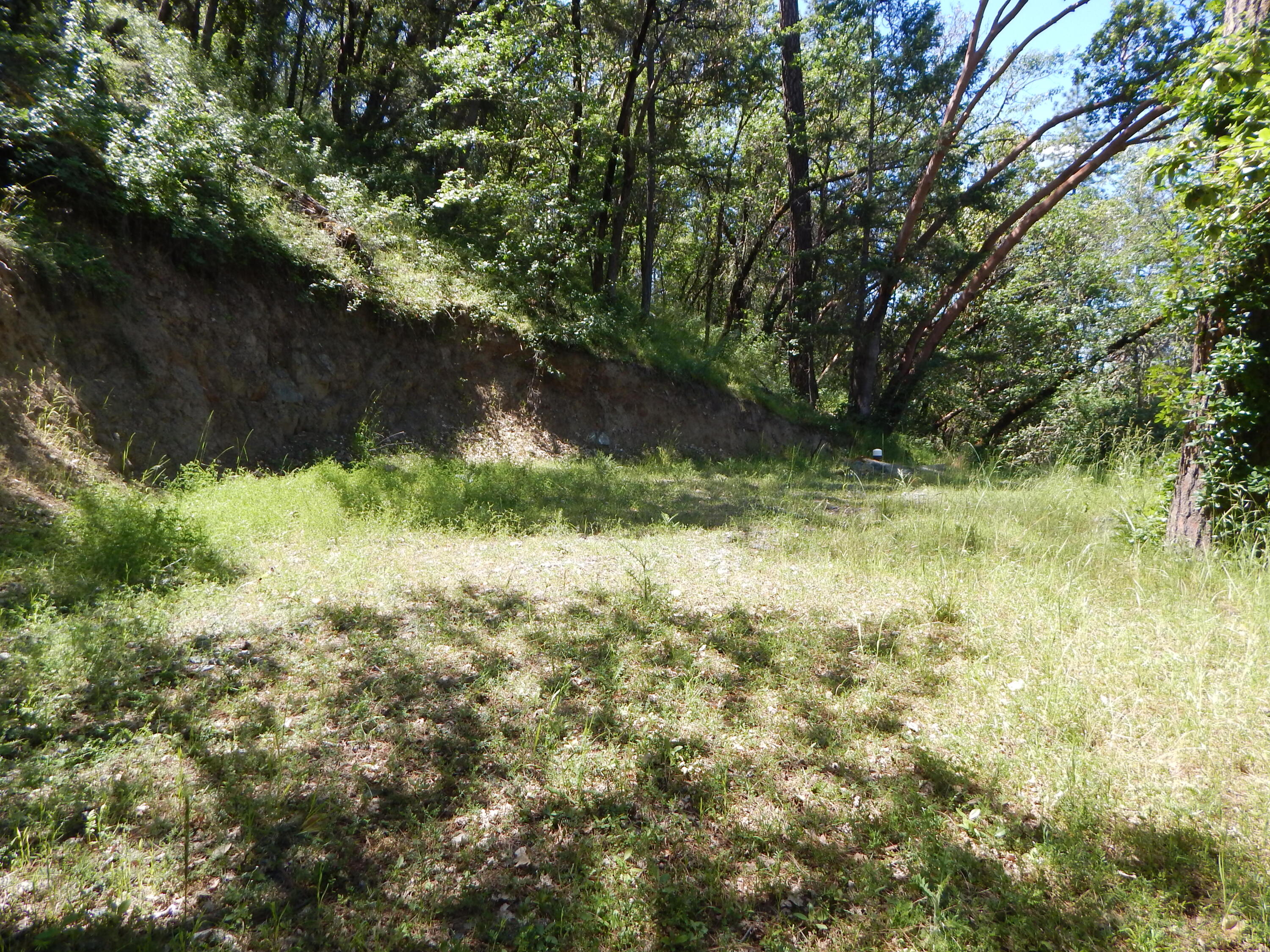 10205 Old Stage Road Gold Hill, OR 97525 - Photo 25 of 36 DSCN4389
