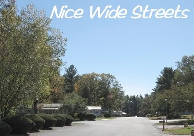 a view of outdoor space with signage and flags