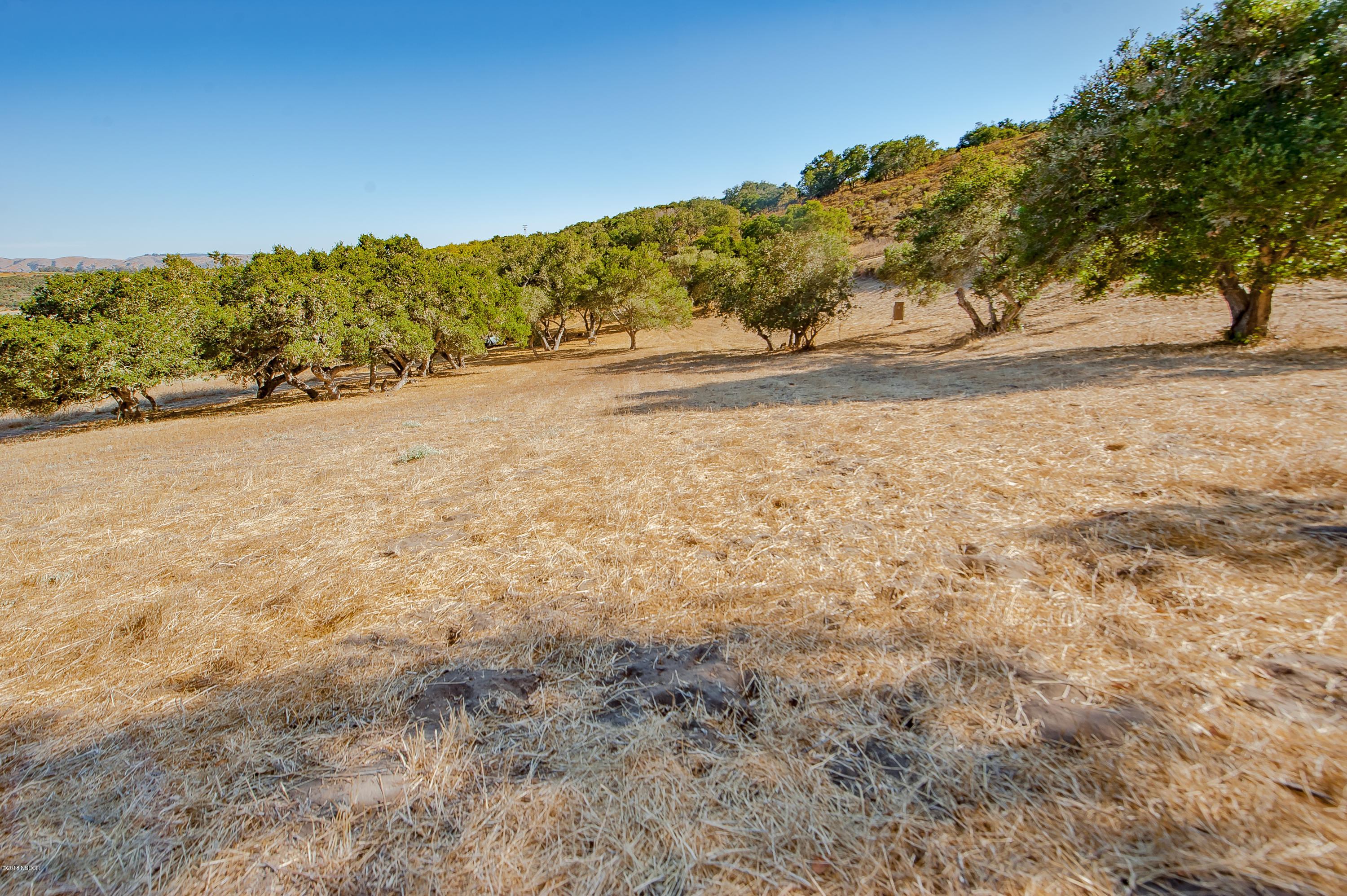 2980 Flora Lompoc, CA 93436 - Photo 85 of 92 FLAT AREA