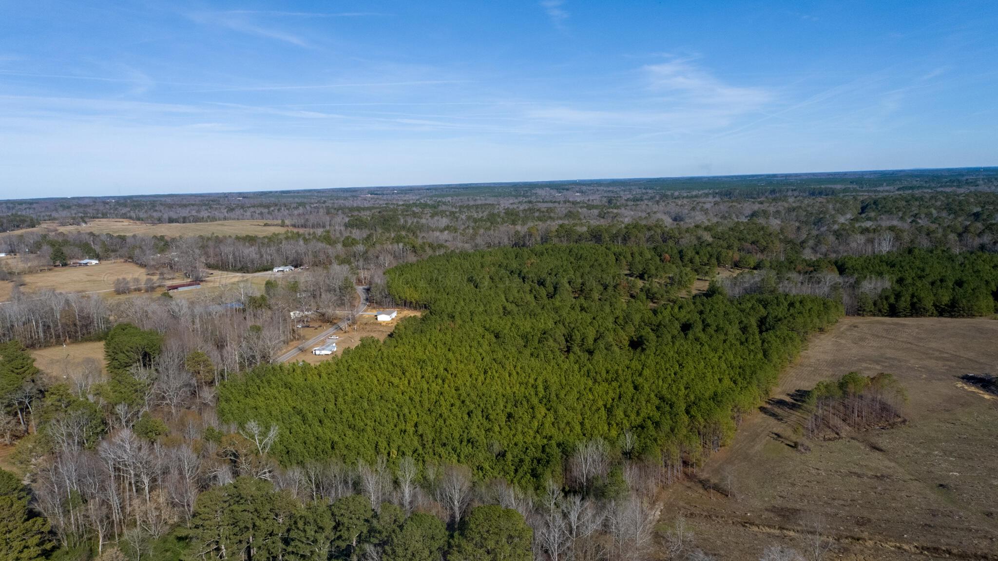 Duncan Road Jasper, AL 35503 - Photo 2 of 12 Gallery Image 2
