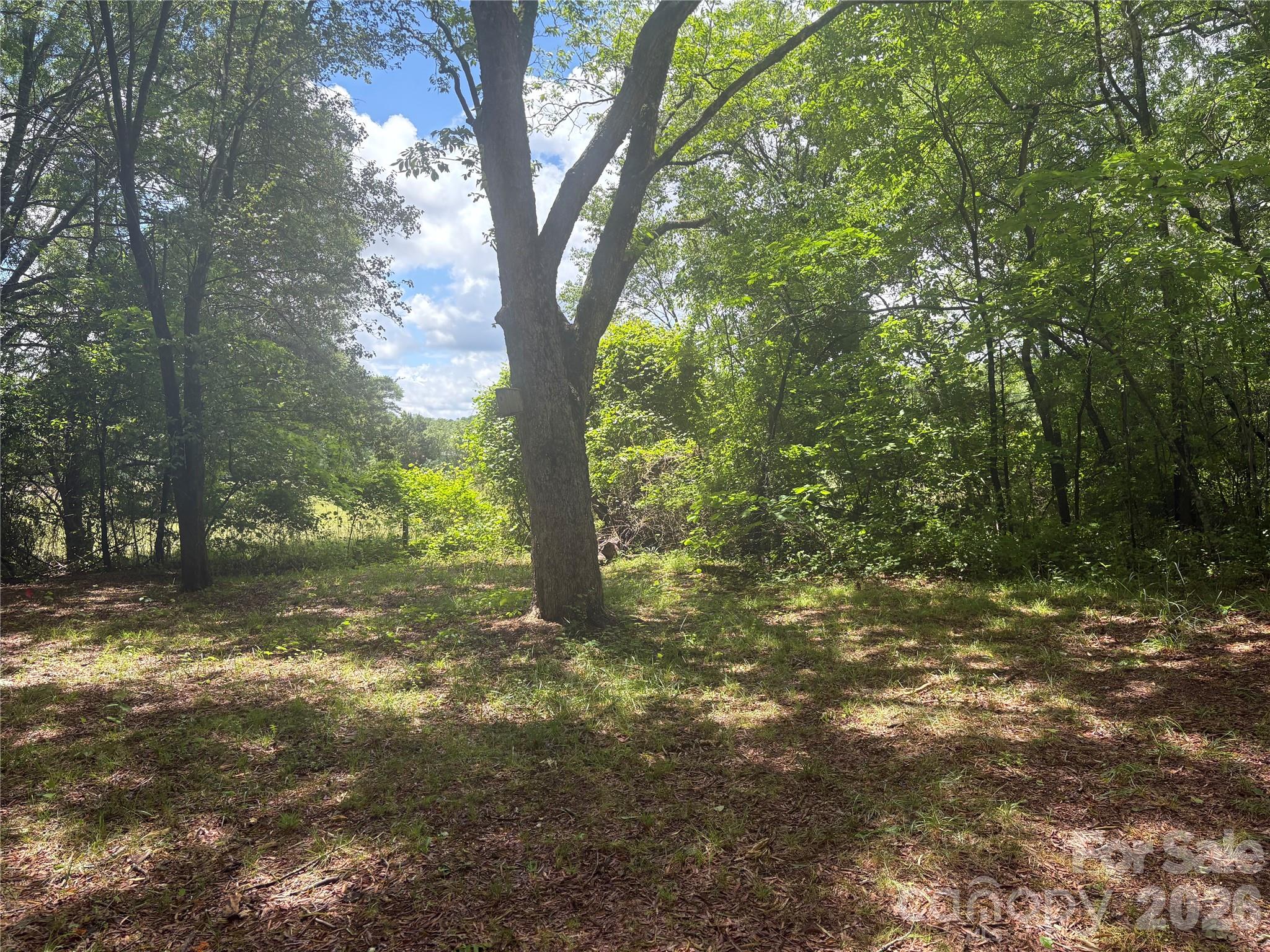 3880 Love Road Claremont, NC 28610 - Photo 4 of 14