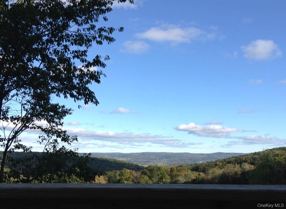 641 Smithfield Road Millerton, NY 12546 - Photo 21 of 22