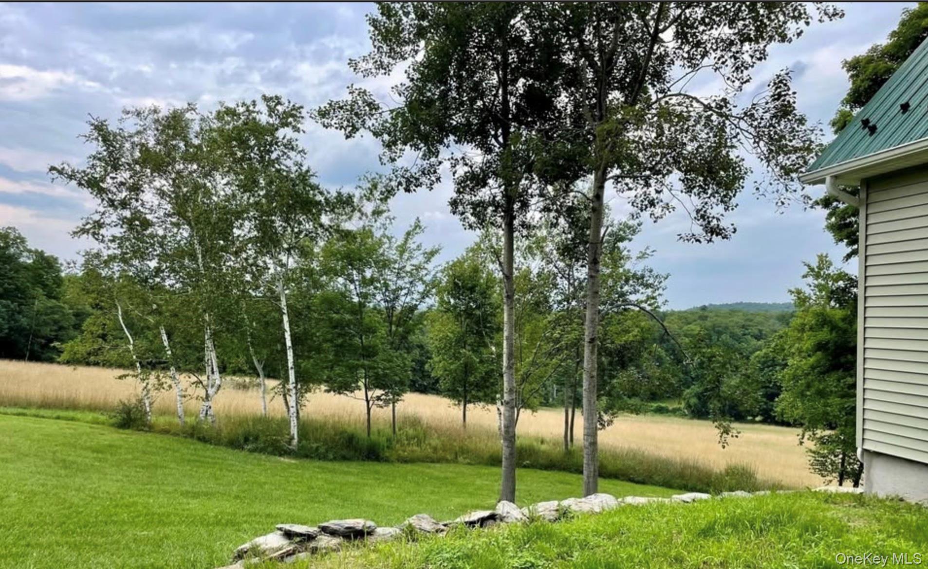 641 Smithfield Road Millerton, NY 12546 - Photo 22 of 22 a view of a park