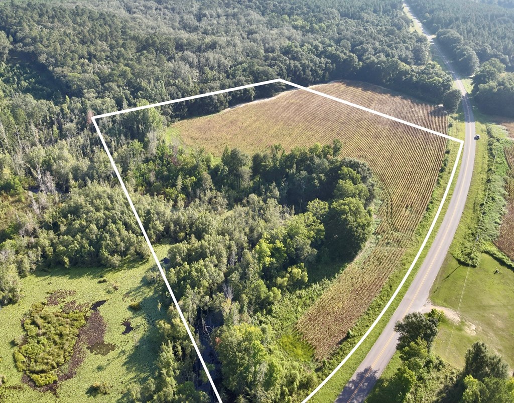 10.3-acres Red Oak Road Florala, AL 36442 - Photo 4 of 13