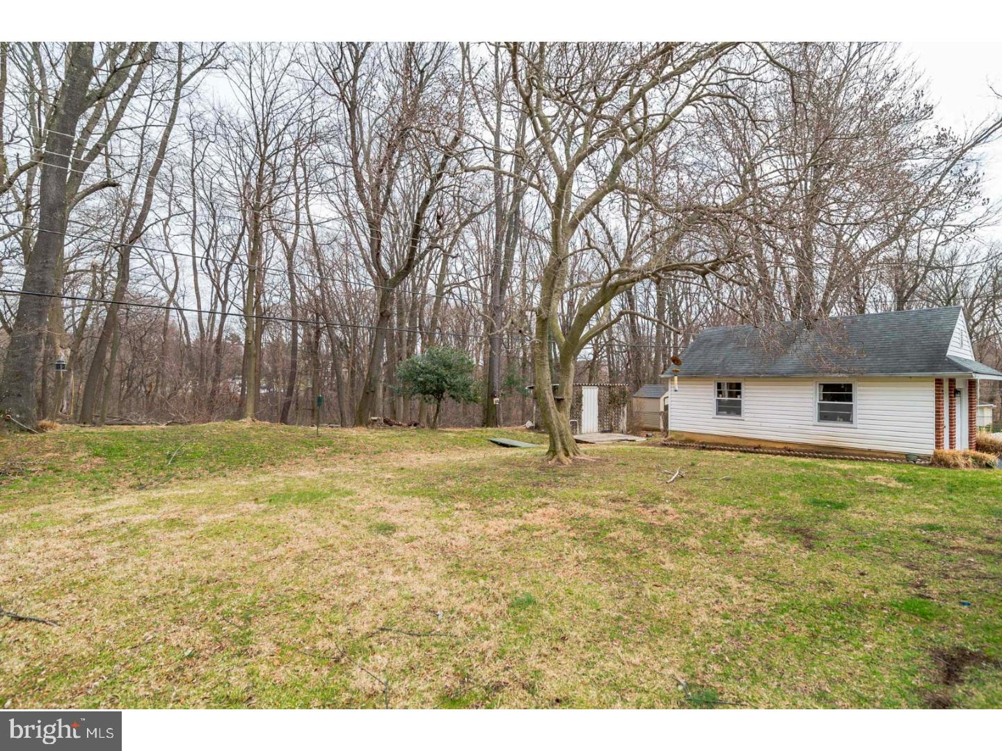 291 Lewis Road Springfield, PA 19064 - Photo 21 of 24 Storage Shed