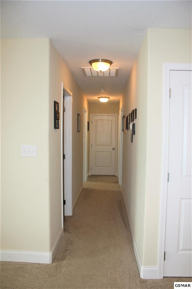439 Hinkle Road Seymour, TN 37865 - Photo 12 of 26 Gallery Image 12