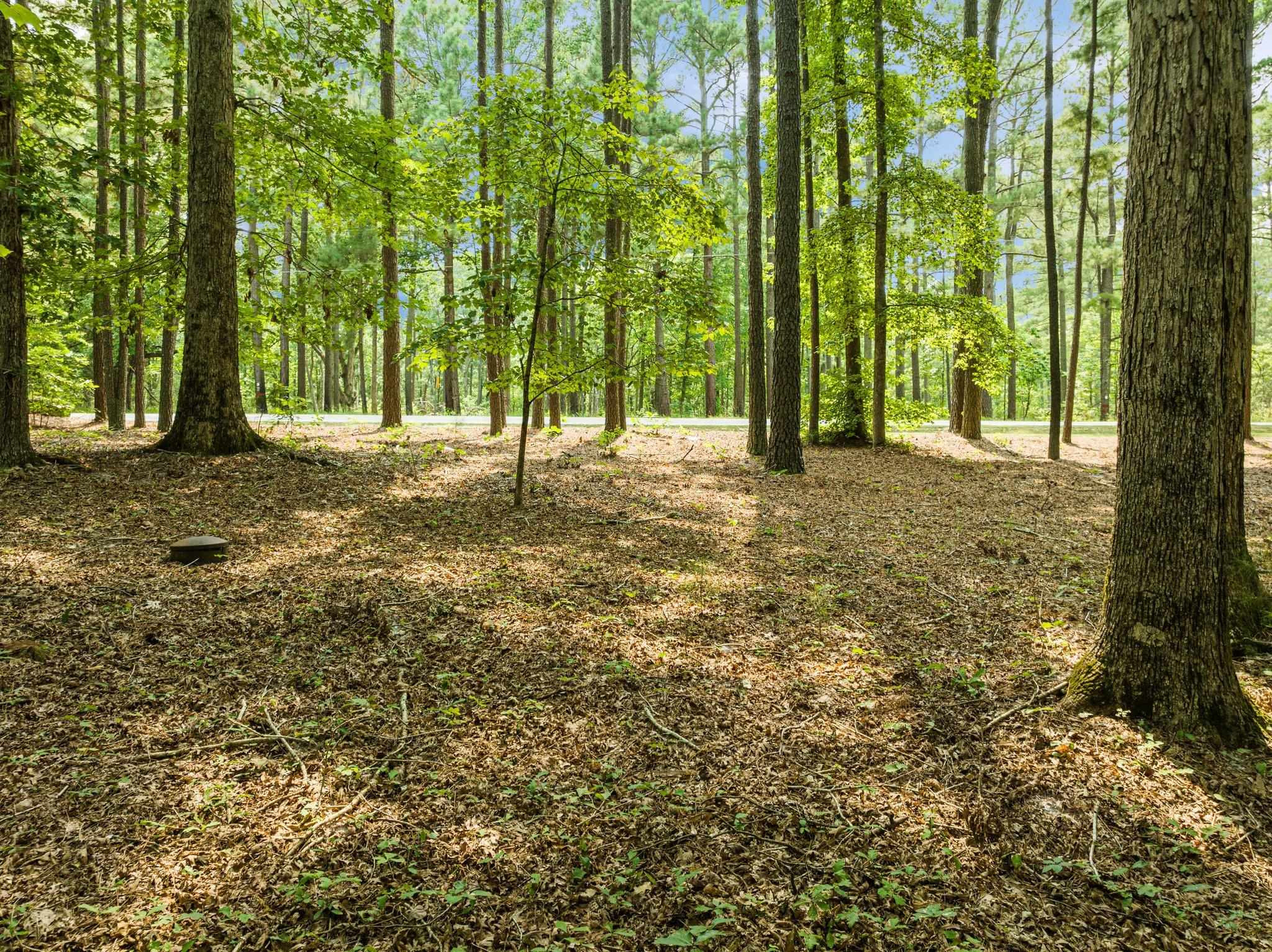 5724 Purnell Road Wake Forest, NC 27587 - Photo 45 of 65 Photo 45