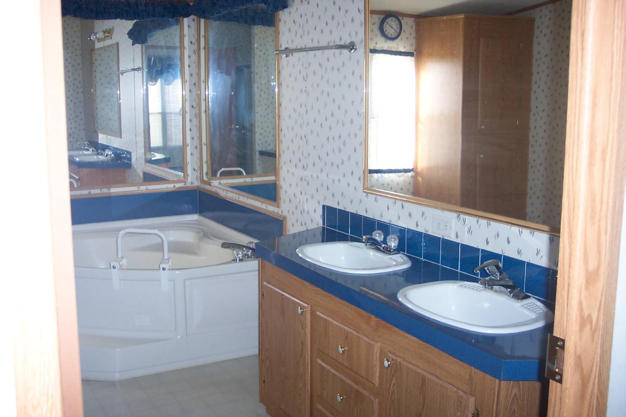 1336 Rockcreek Road Sandy Level, VA 24161 - Photo 15 of 19 a bathroom with a sink and a mirror