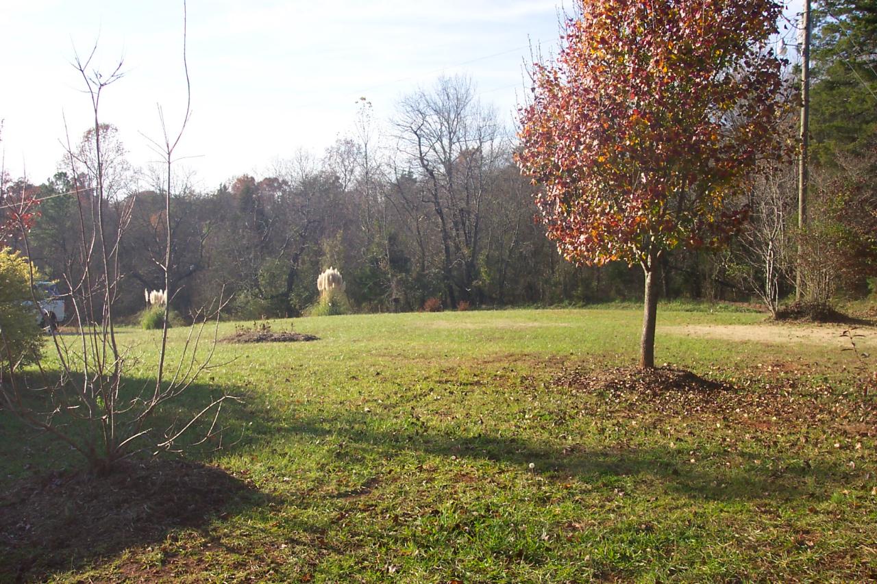 1336 Rockcreek Road Sandy Level, VA 24161 - Photo 6 of 19 a view of a park with large trees
