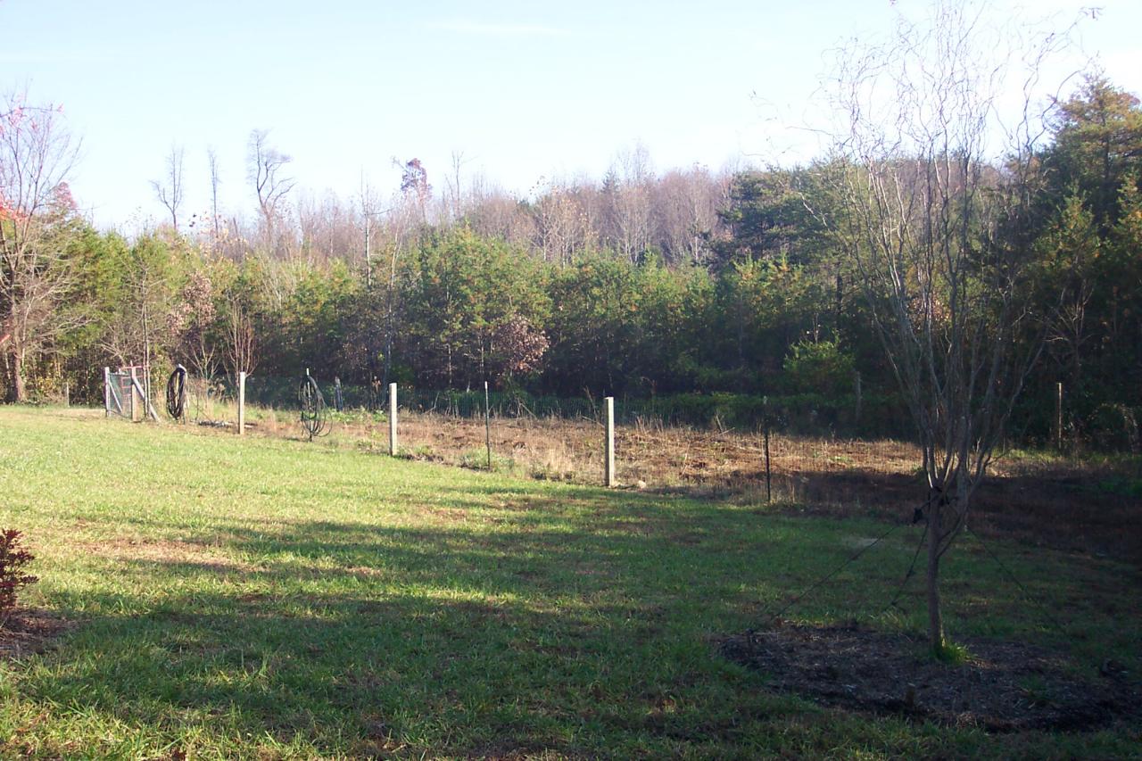 1336 Rockcreek Road Sandy Level, VA 24161 - Photo 10 of 19 a swimming pool is in the middle of a garden