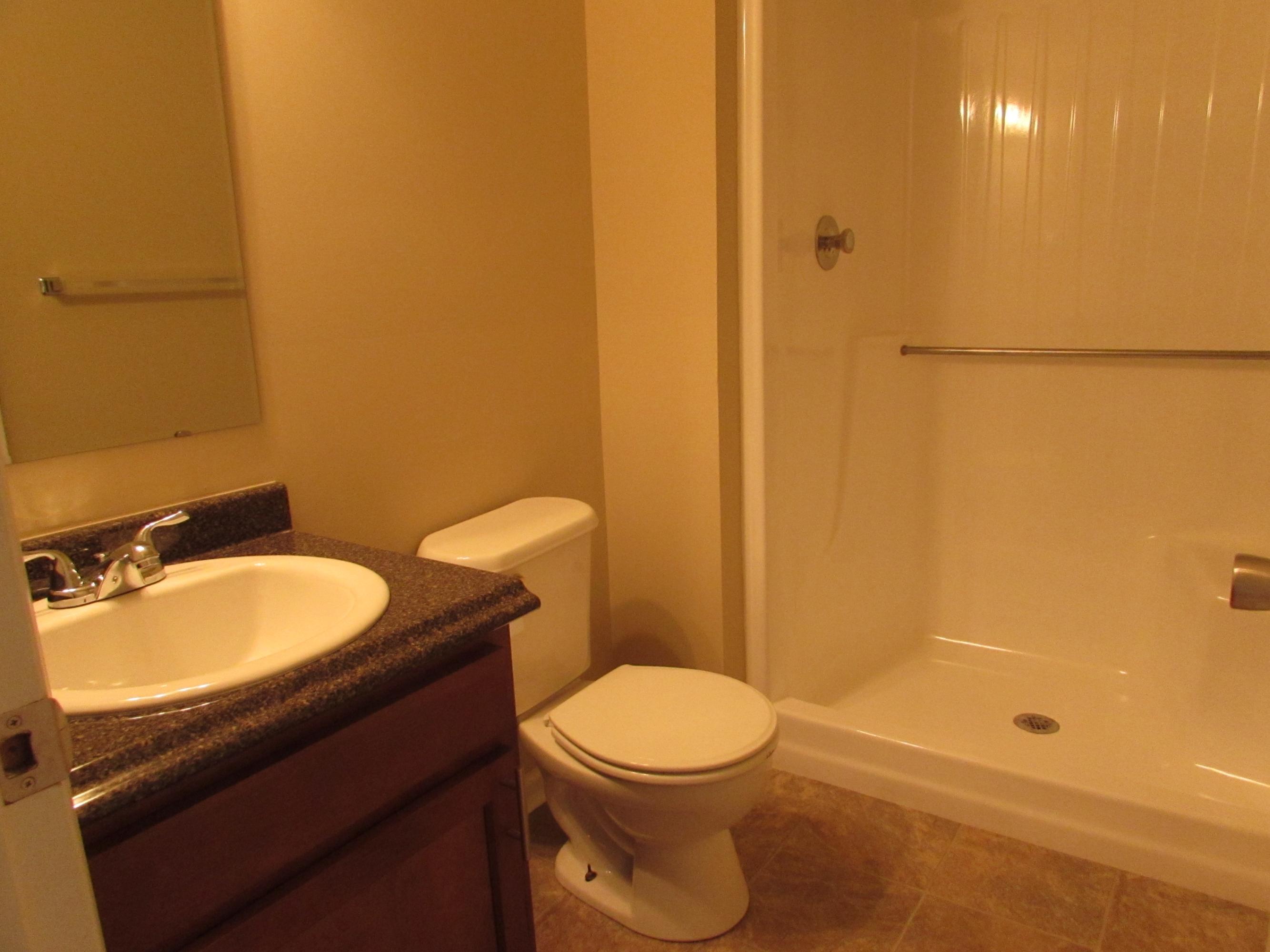 249 Scalybark Drive Blue Ridge, VA 24064 - Photo 16 of 22 Lower Level Bath
