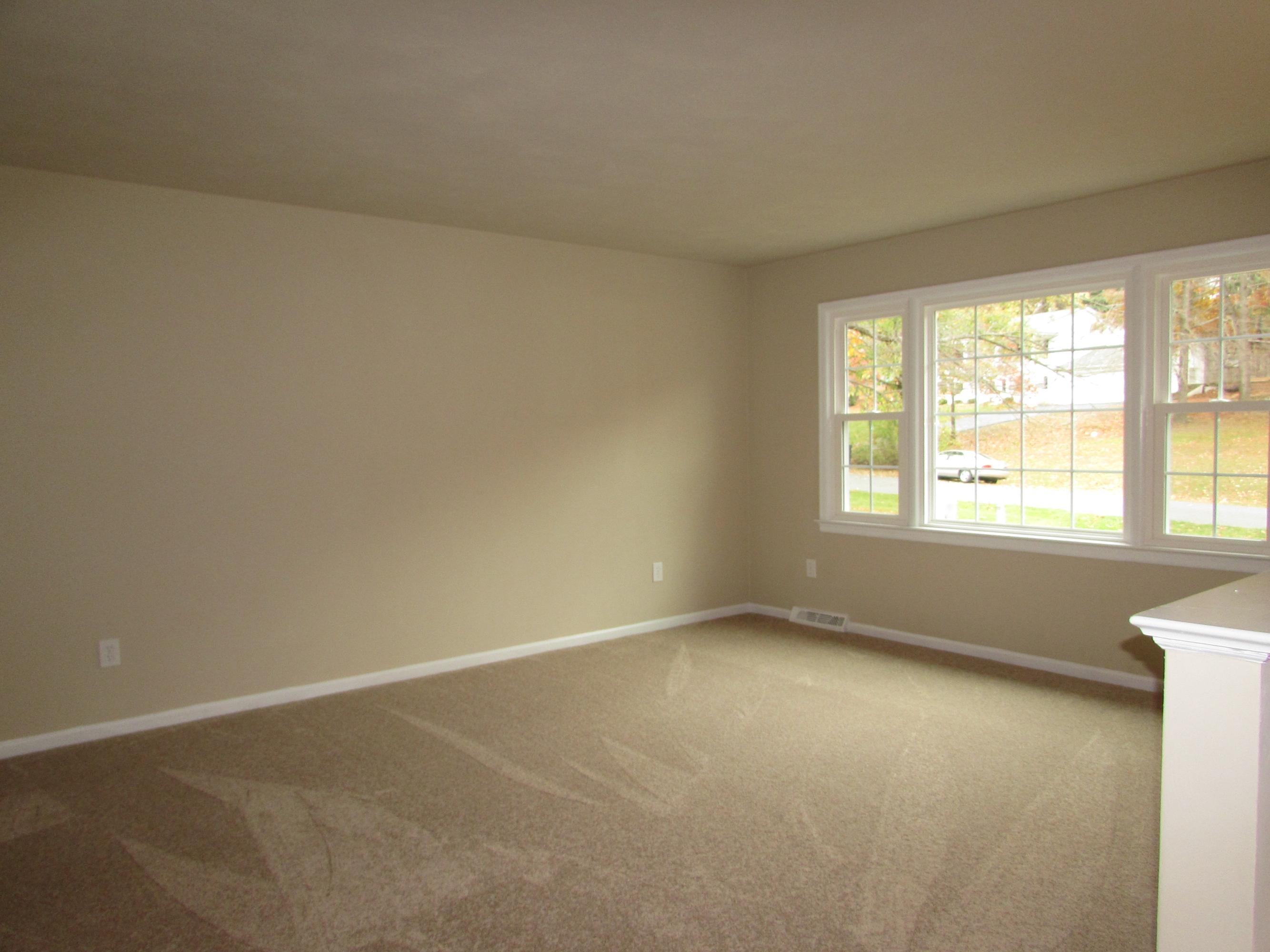 249 Scalybark Drive Blue Ridge, VA 24064 - Photo 3 of 22 Living Room